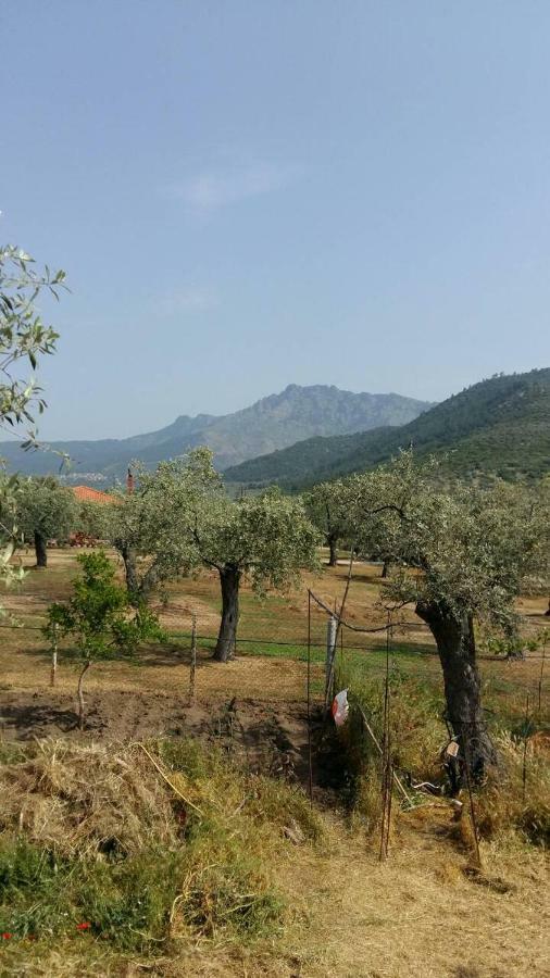 Apartament Vlachogiannis El Estate Skala Rachoni  Zewnętrze zdjęcie
