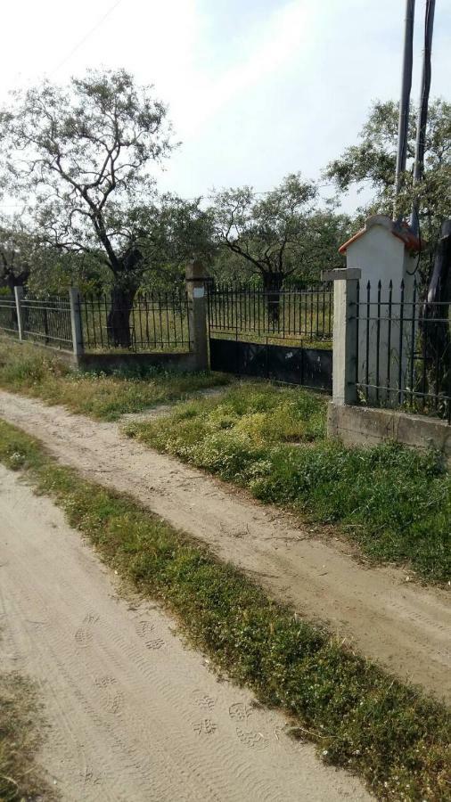 Apartament Vlachogiannis El Estate Skala Rachoni  Zewnętrze zdjęcie